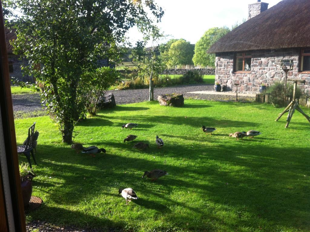 Clan Cottages Oban Cameră foto